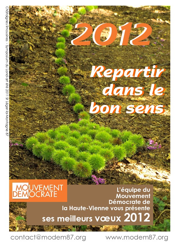 Bonne année 2012